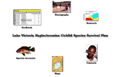 Lake Victoria Cichlid Species Survival Plan